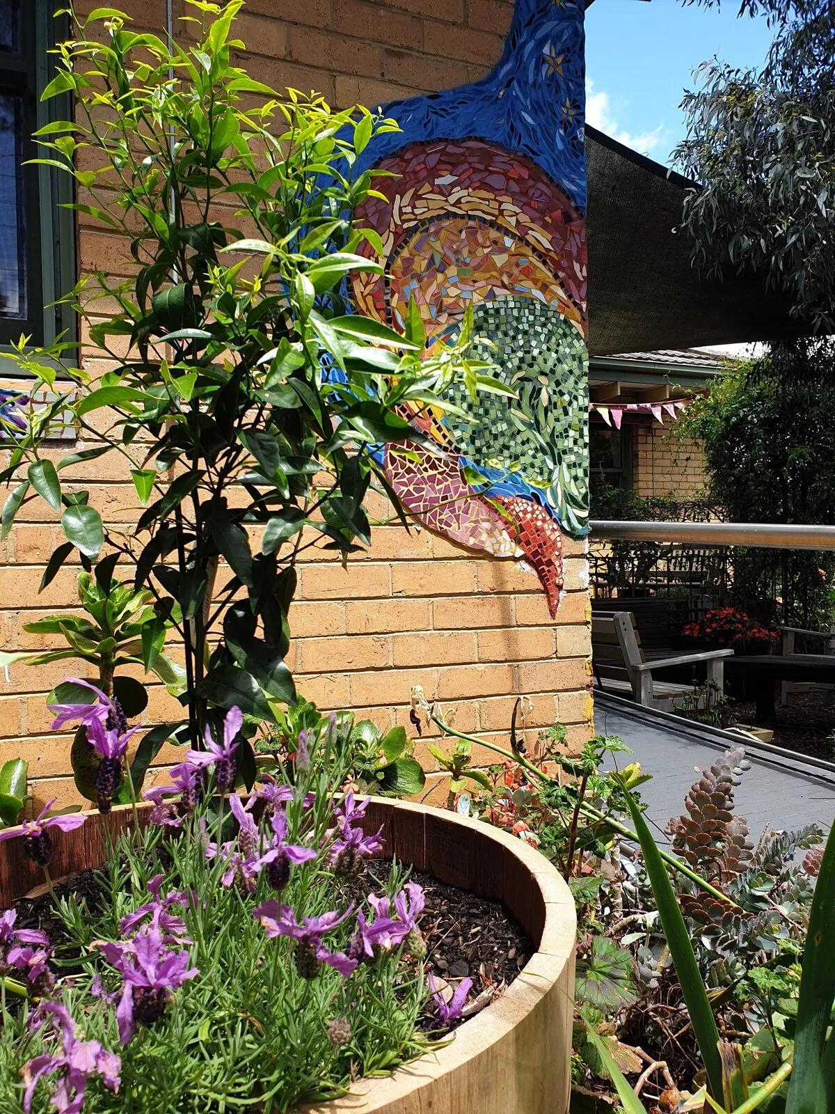 The timber community deck beside a mosaic wall, with flowering plants and a corrugated planter