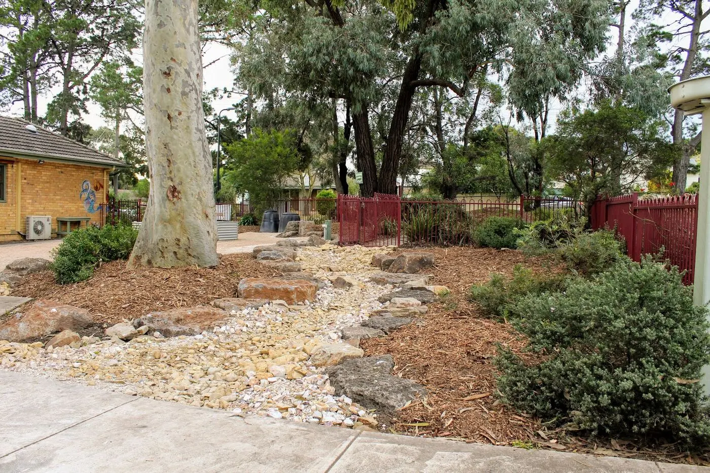 An accessible path winding between garden beds and gum trees