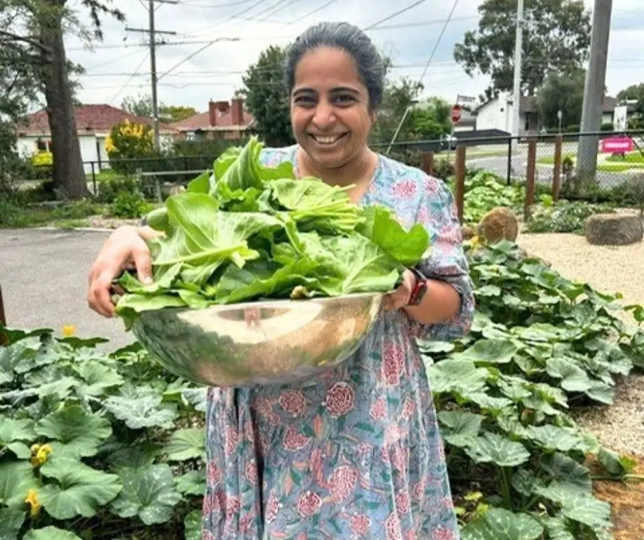 Someone standing in the garden holding a large metal bowl heaped with freshly picked spinach leaves